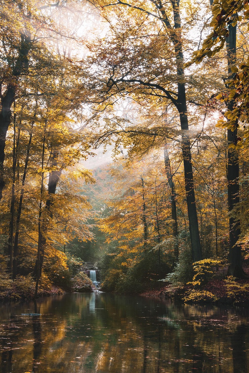 风景3高清图片
